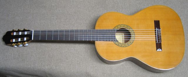Left hand Esteve 1 Guitar