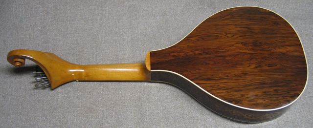 Andrade guitarra
        portuguesa
