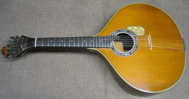 Kim Gracio Portuguese
        guitarra