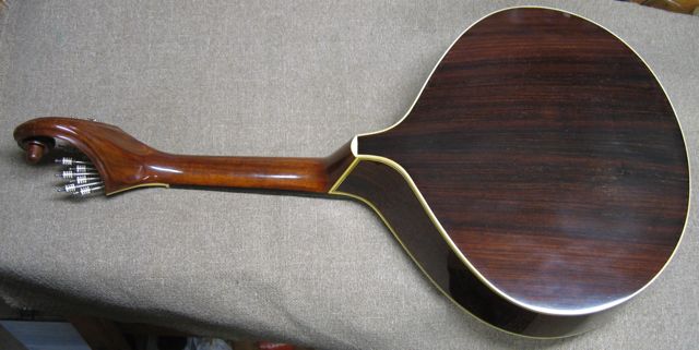 Manuel Cardoso
        Portuguese guitar back