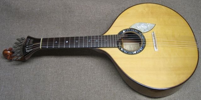 Joao Palmeiro
        Portuguese guitar